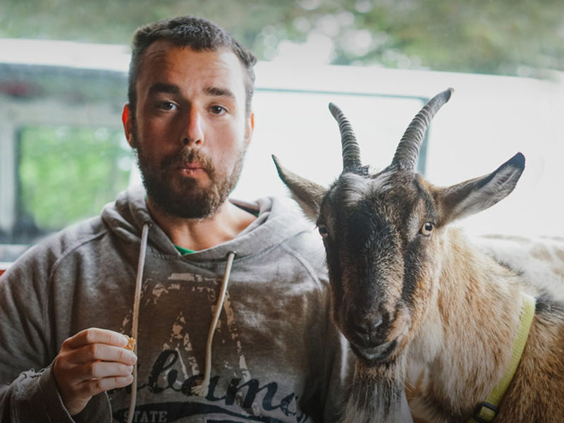 Dave Goes West with Goat