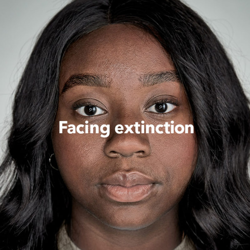 Global Warming Climate Action Patagonia