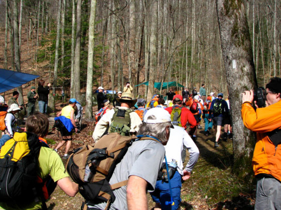Th Berkley Marathon