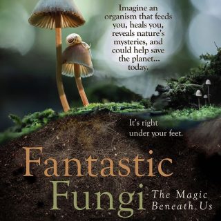 Fantastic Fungi Manchester
