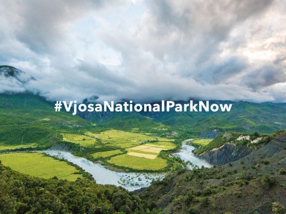 Patagonia Vjosa Forever