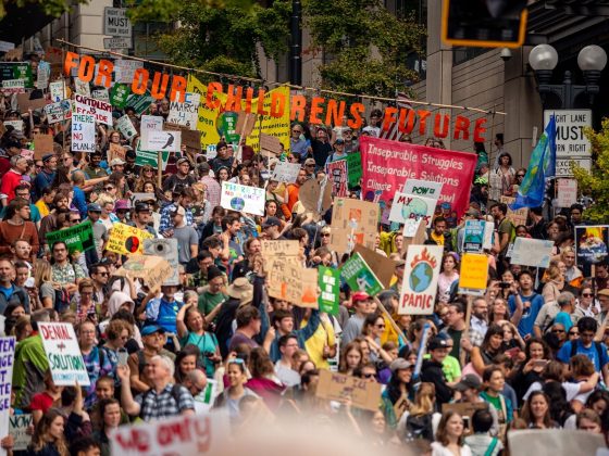 patagonia climate strike