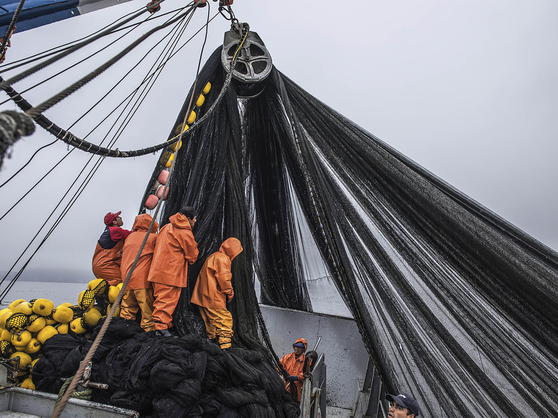 Patagonia NetPlus Product Launch