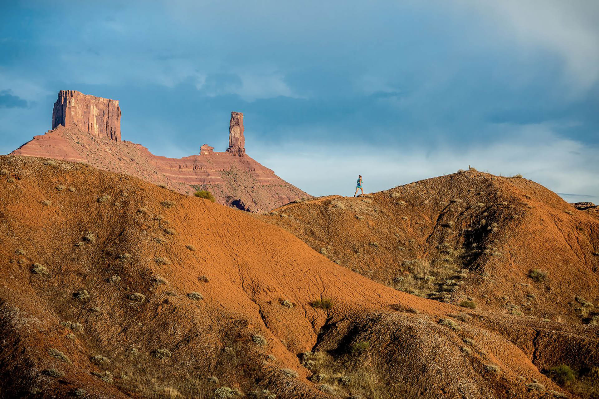 Patagonia digital marketing case study for RUFA campaign