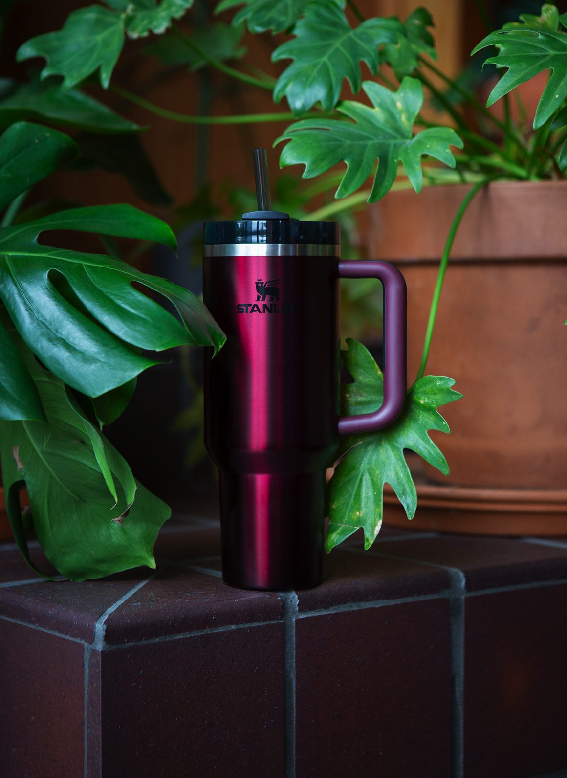Stanley Quencher positioned in front of indoor plant